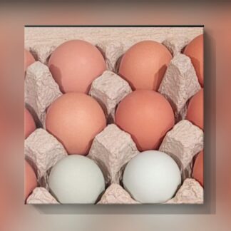 Eggs